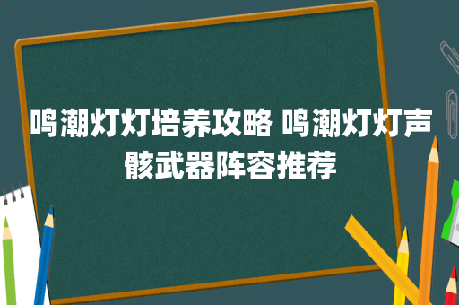 鸣潮灯灯培养攻略 鸣潮灯灯声骸武器阵容推荐