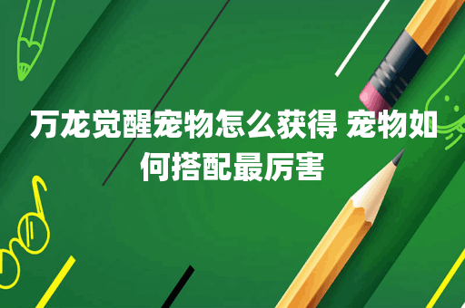 万龙觉醒宠物怎么获得 宠物如何搭配最厉害
