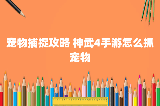 宠物捕捉攻略 神武4手游怎么抓宠物