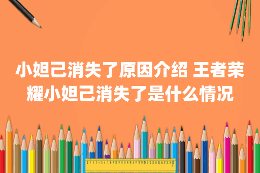小妲己消失了原因介绍 王者荣耀小妲己消失了是什么情况