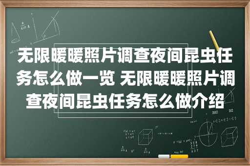 无限暖暖照片调查夜间昆虫任务怎么做一览 无限暖暖照片调查夜间昆虫任务怎么做介绍